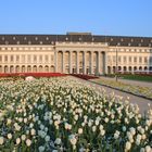 Das Kurfürstliche Schloss in Koblenz