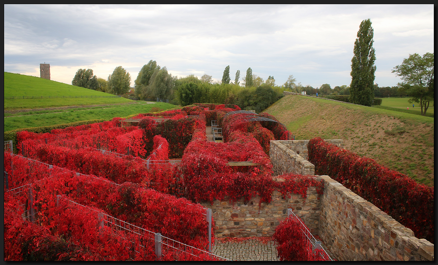 ...Das Labyrinth...