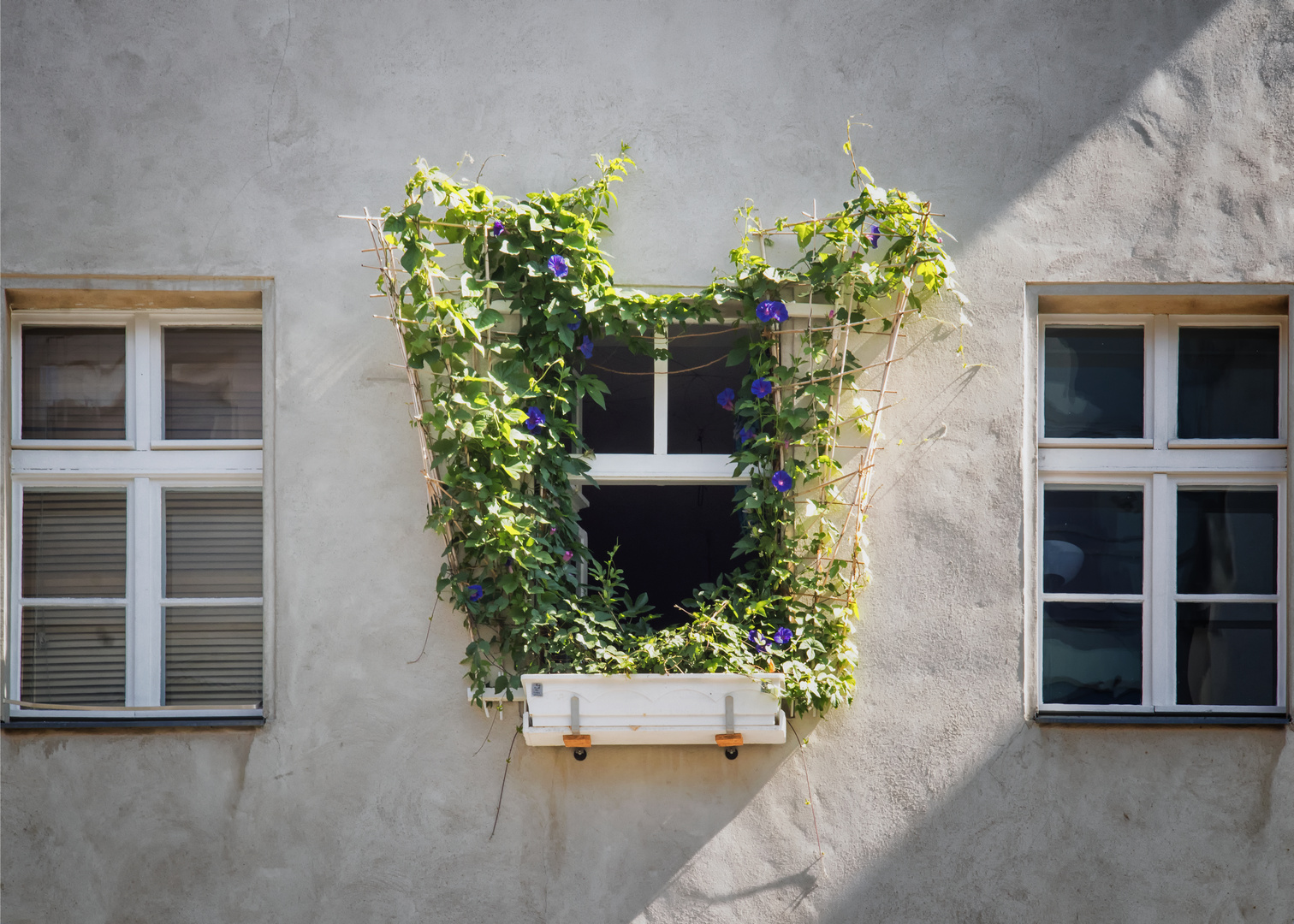 Das lachende Fenster