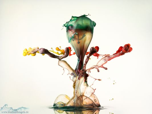 Das lachende Gesicht