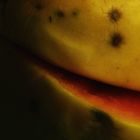 Das Lächeln der reifen Papaya...