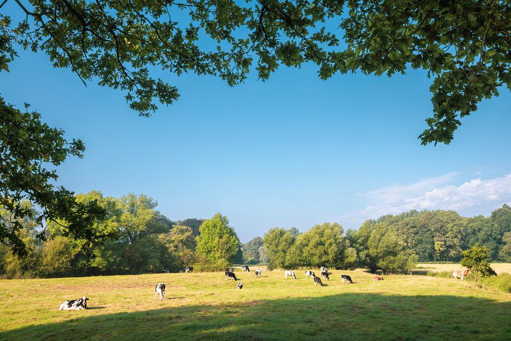 Das ländliche Münsterland