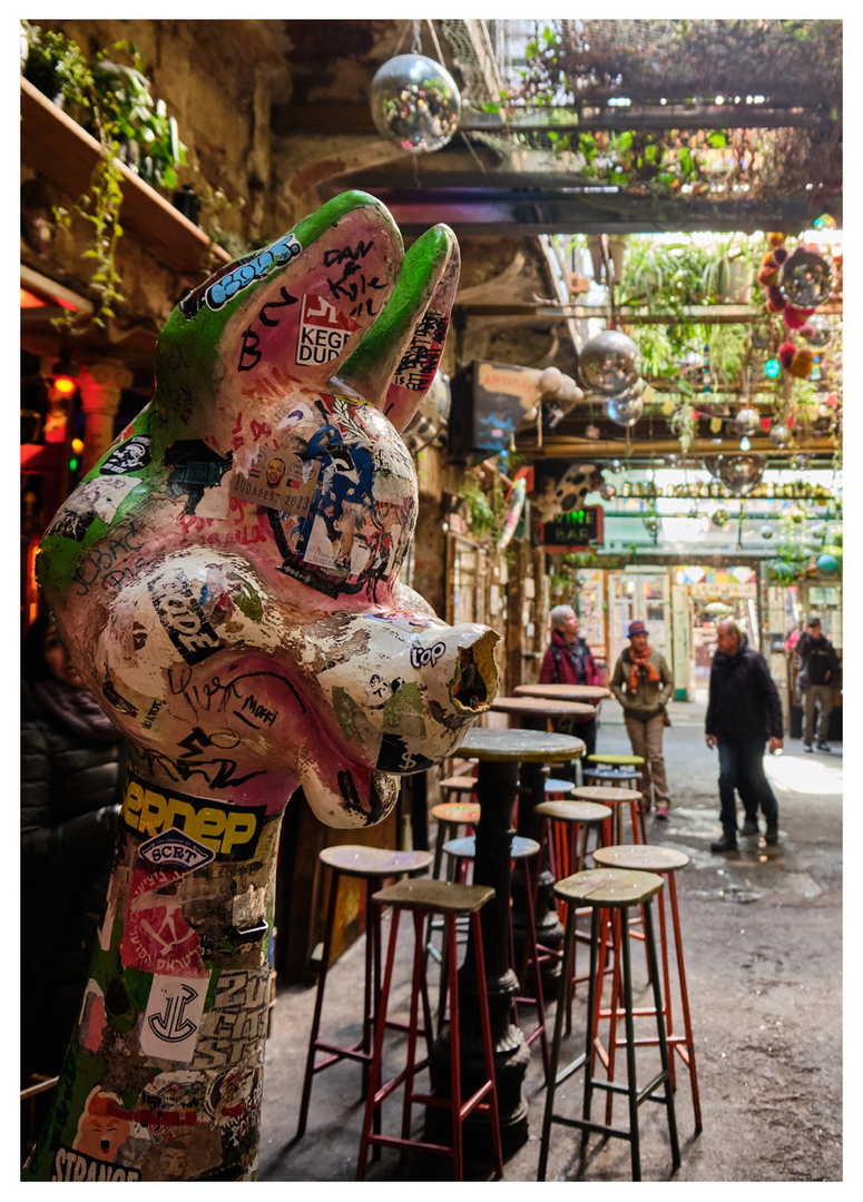 Das Lama Foto & Bild city, world, stadt Bilder auf