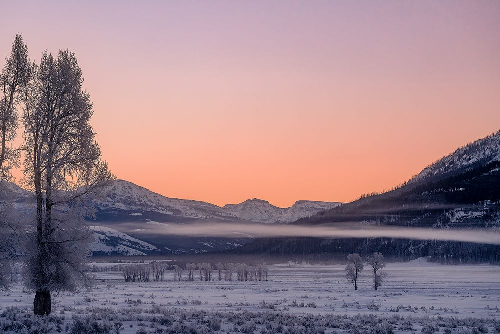 Das "Lamar-Valley" im Yellowstone