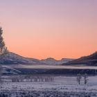 Das "Lamar-Valley" im Yellowstone