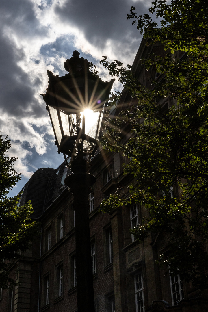 das Lampensternchen *