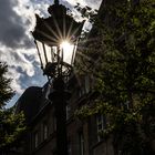 das Lampensternchen *