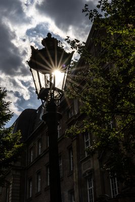 das Lampensternchen *