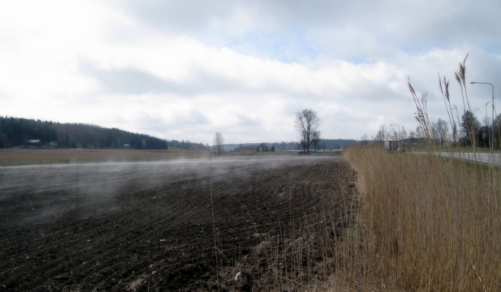 Das Land bietet das Wachstum.