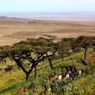 Das Land der Massai