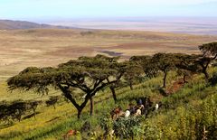 Das Land der Massai