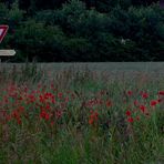 Das Land, der Regen, der Landregen, der Mohn, Schilda ..