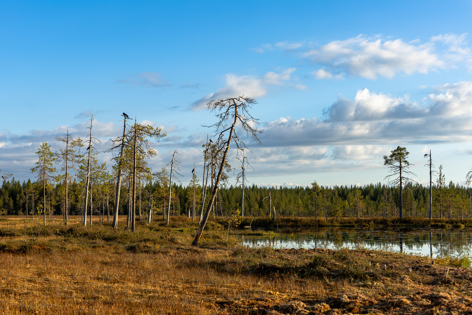 Das Land der Tausend Seen...