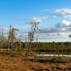 Das Land der Tausend Seen...