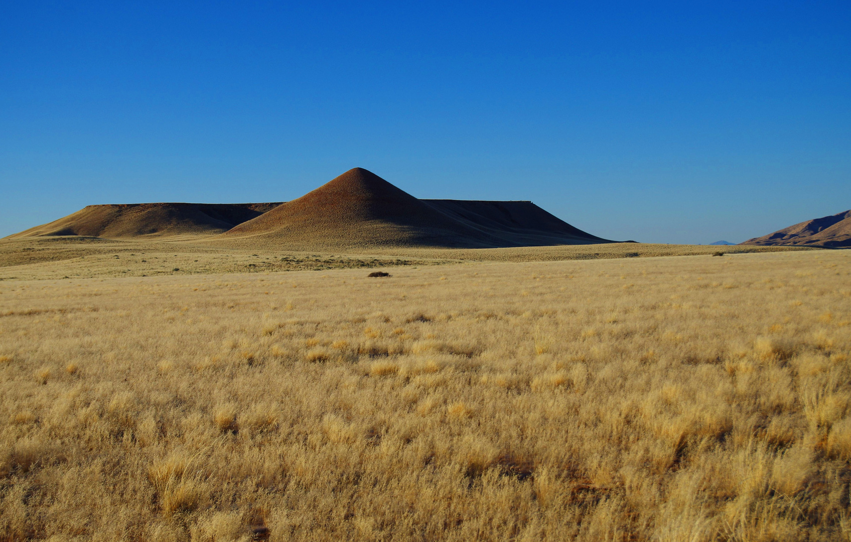 Das Land des Bushman