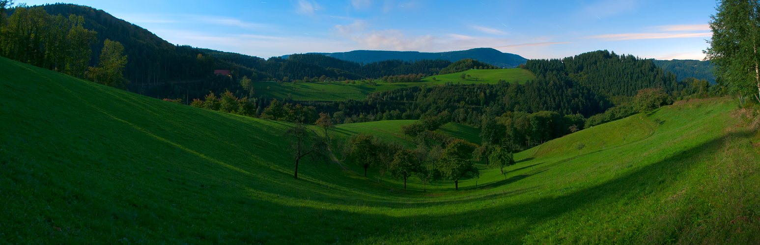 Das Land mit Milch und Honig...