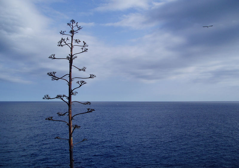 Das Land und das Meer