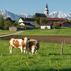 das Land vor den Bergen - Weildorf