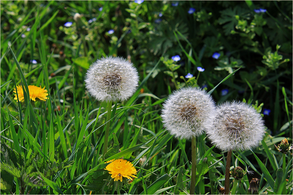 Das lange Warten auf den Wind