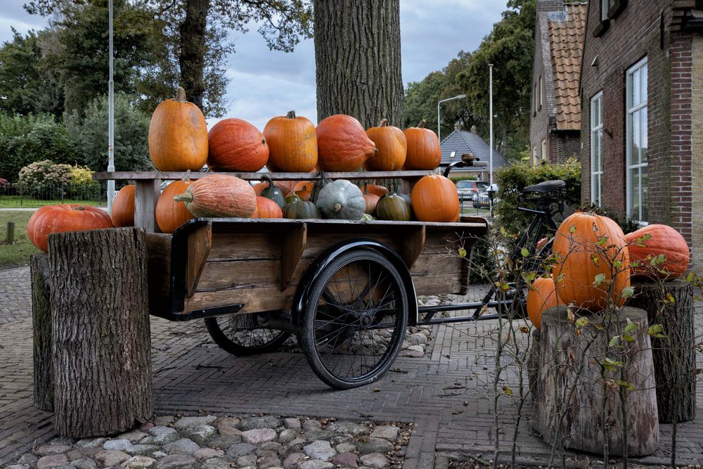 das Lastenrad...