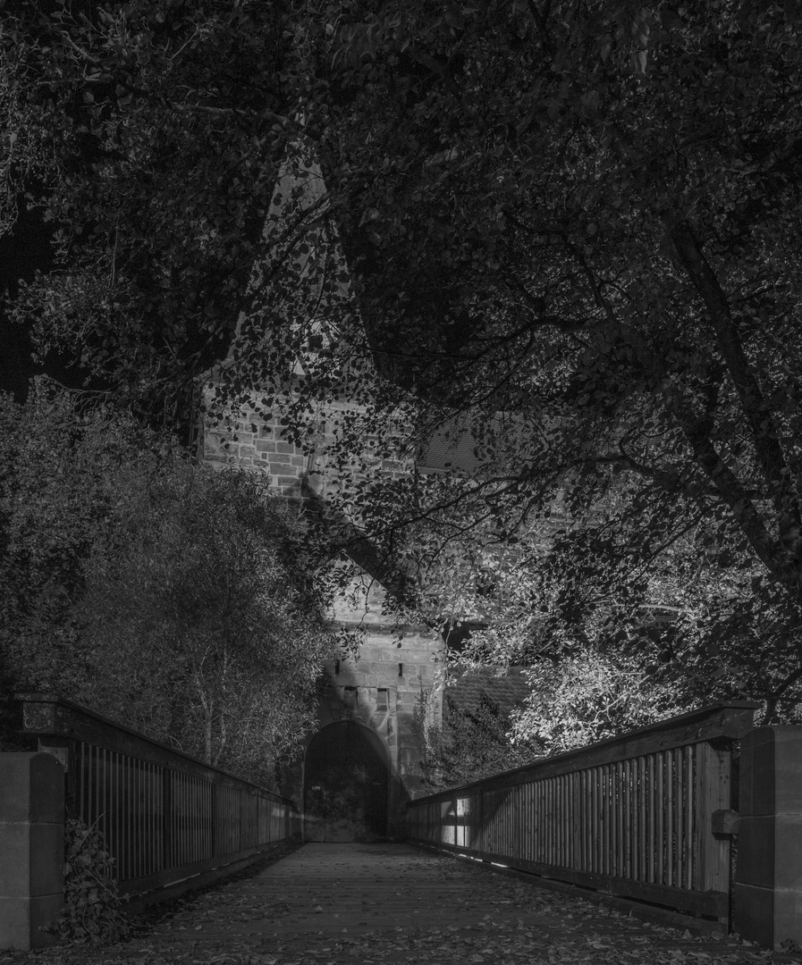 Das Laufer Wenzelschloss bei Nacht 2
