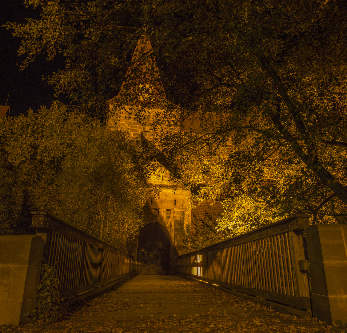 Das Laufer Wenzelschloss bei Nacht