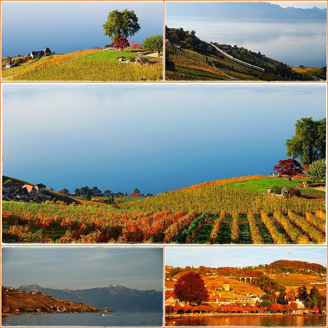 das lavaux