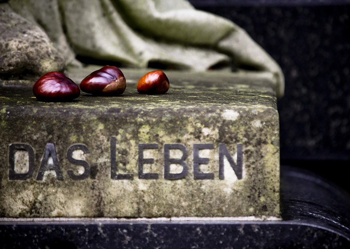 Das Leben