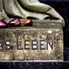 Das Leben