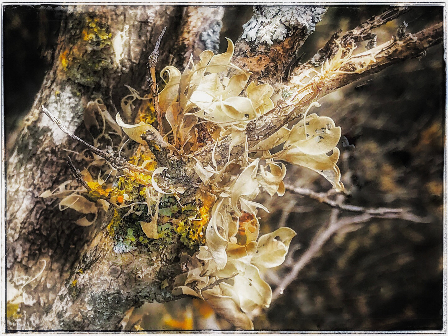 Das Leben am Baum