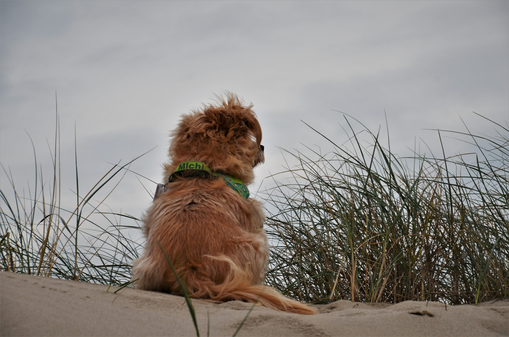 Das Leben am Strand...