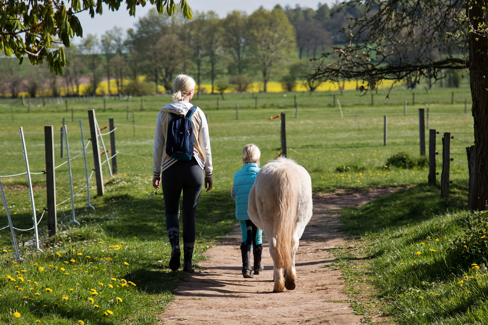 Das Leben auf dem Ponyhof