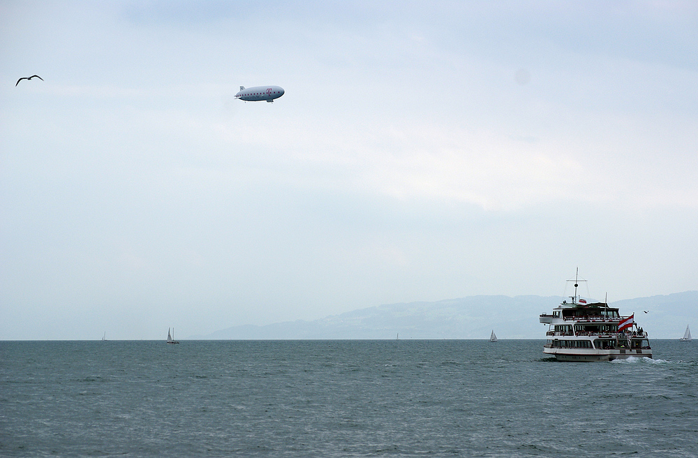 Das Leben auf und über dem Bodensee