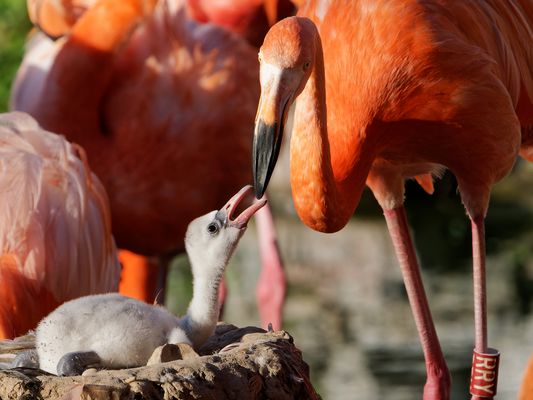 Das Leben beginnt grau