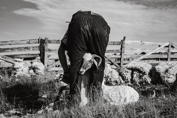 Das Leben der Anderen (Teil 11)