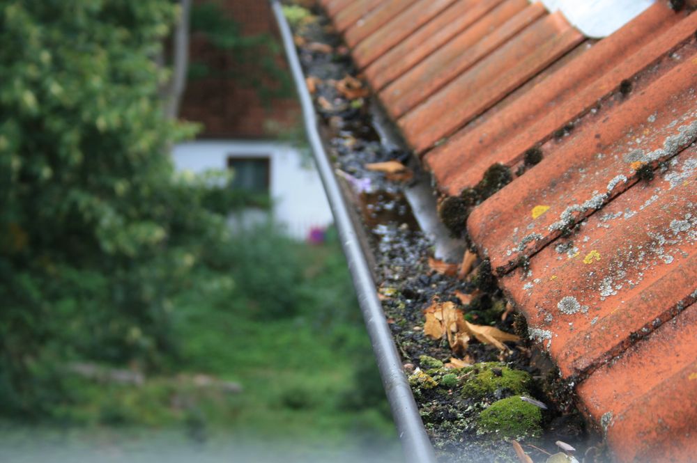 das leben einer Regenrinne