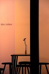 das leben