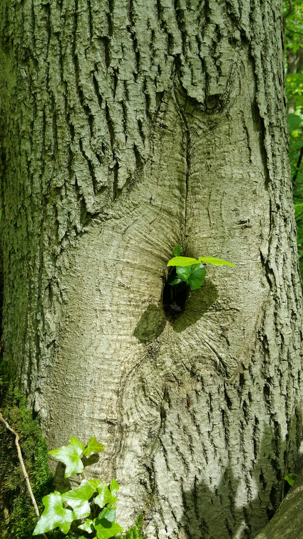 Das Leben findet seinen Weg 2