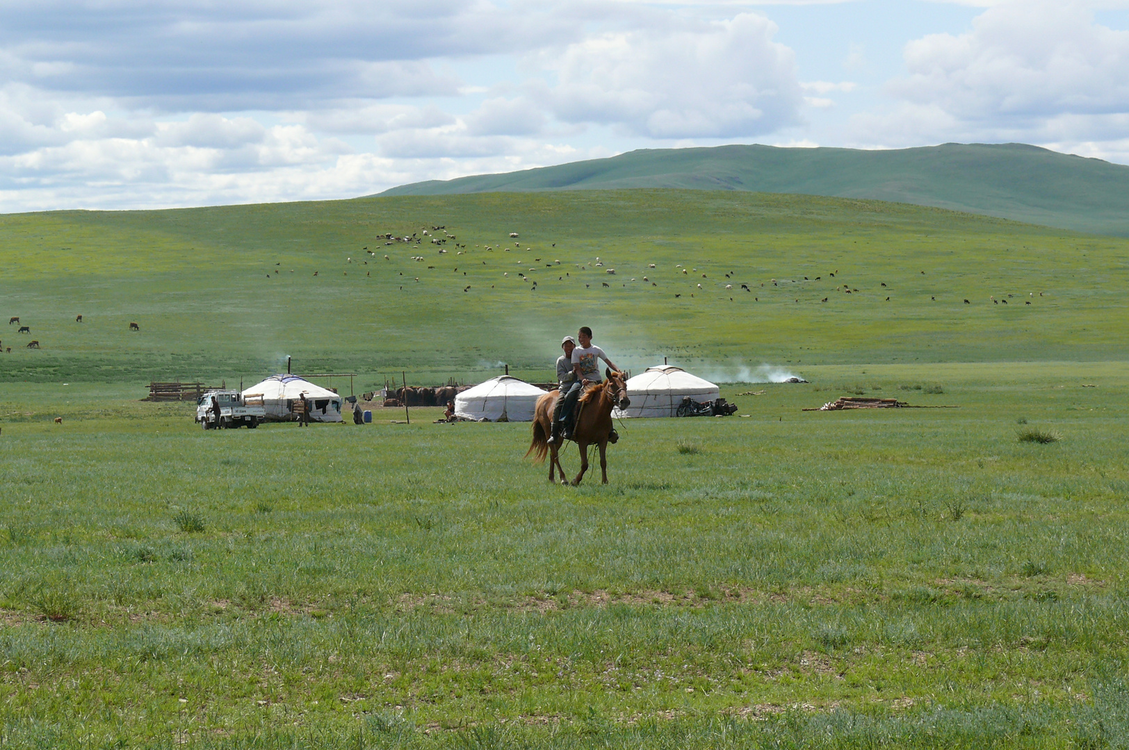 Das leben in der Steppe