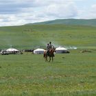 Das leben in der Steppe