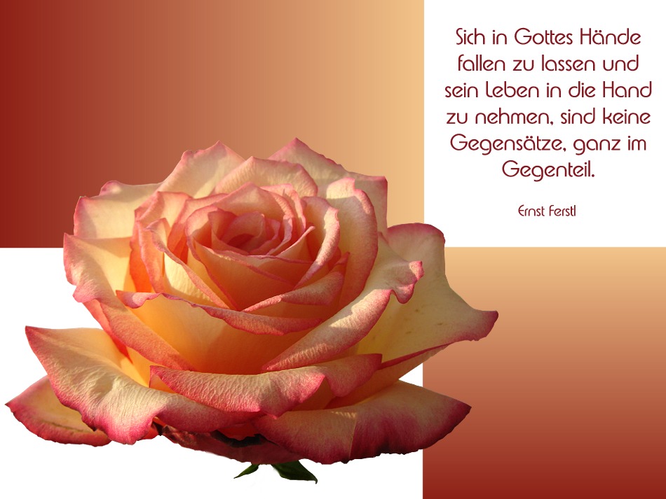 Das Leben in die Hand nehmen Foto & Bild karten und kalender, karten