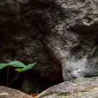 Das Leben in einer Höhle