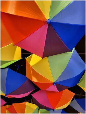 Das Leben ist bunt...