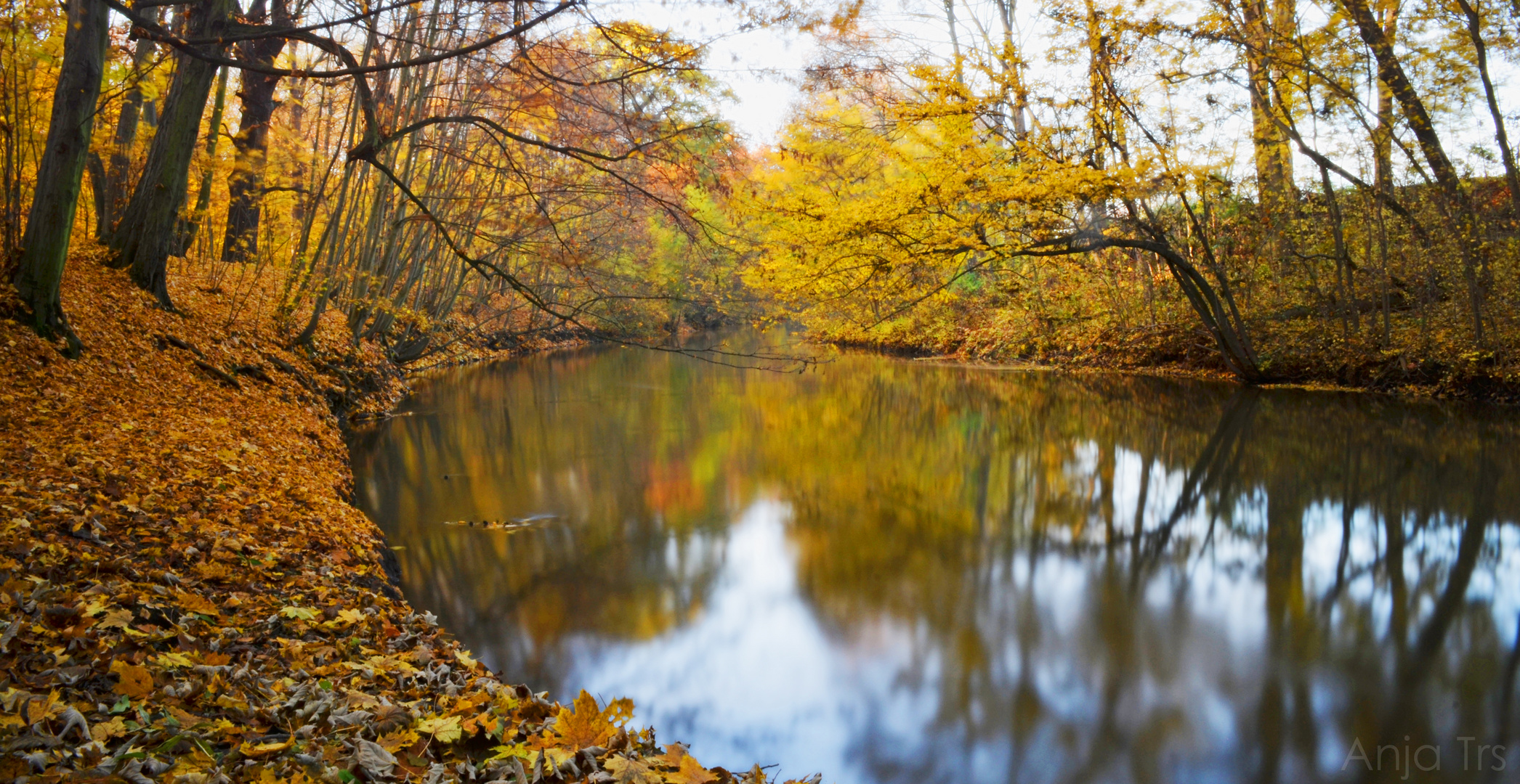 "Das Leben ist ein Fluss, und alles ändert sich." - Jack Kornfield