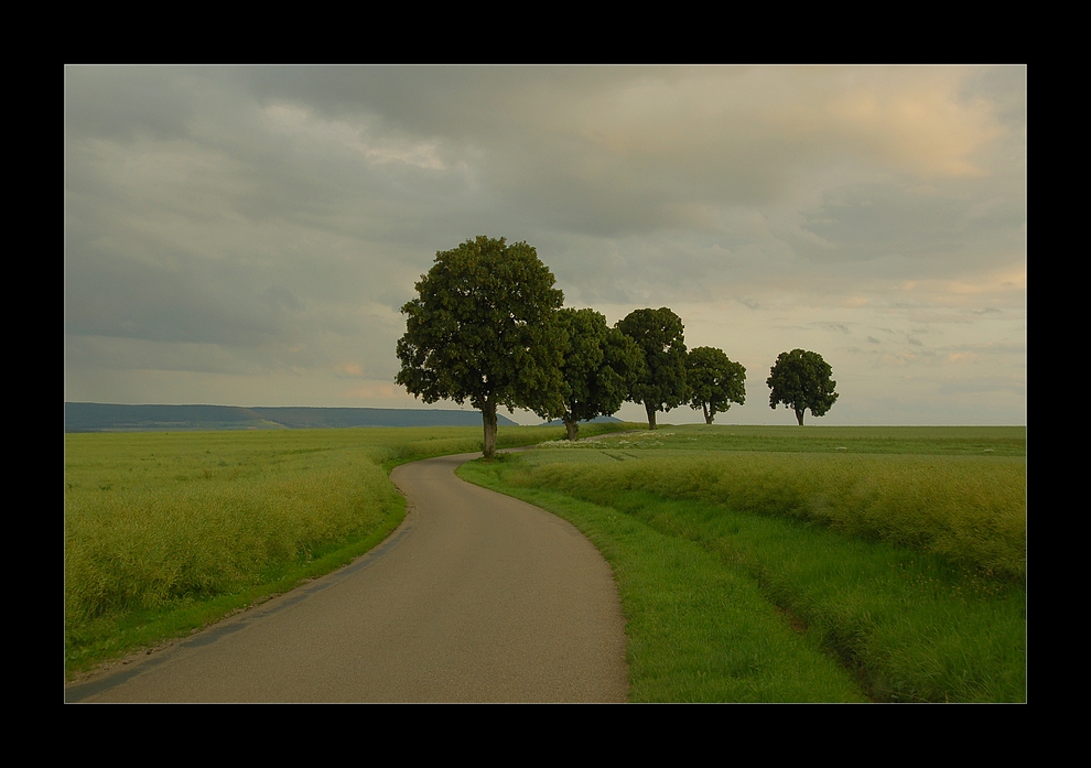 Das Leben ist ein kurviger Weg