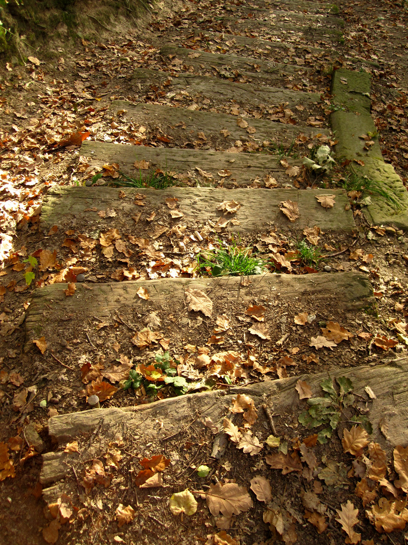 Das Leben ist eine Treppe....