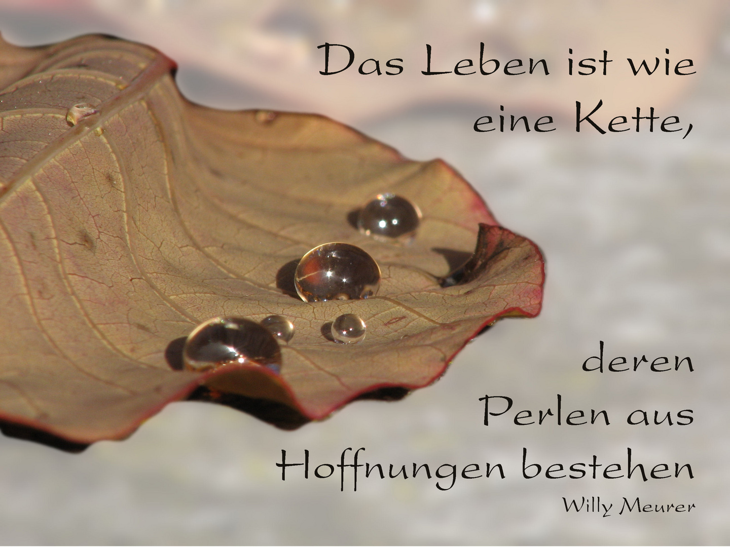 Das Leben ist...