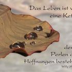 Das Leben ist...