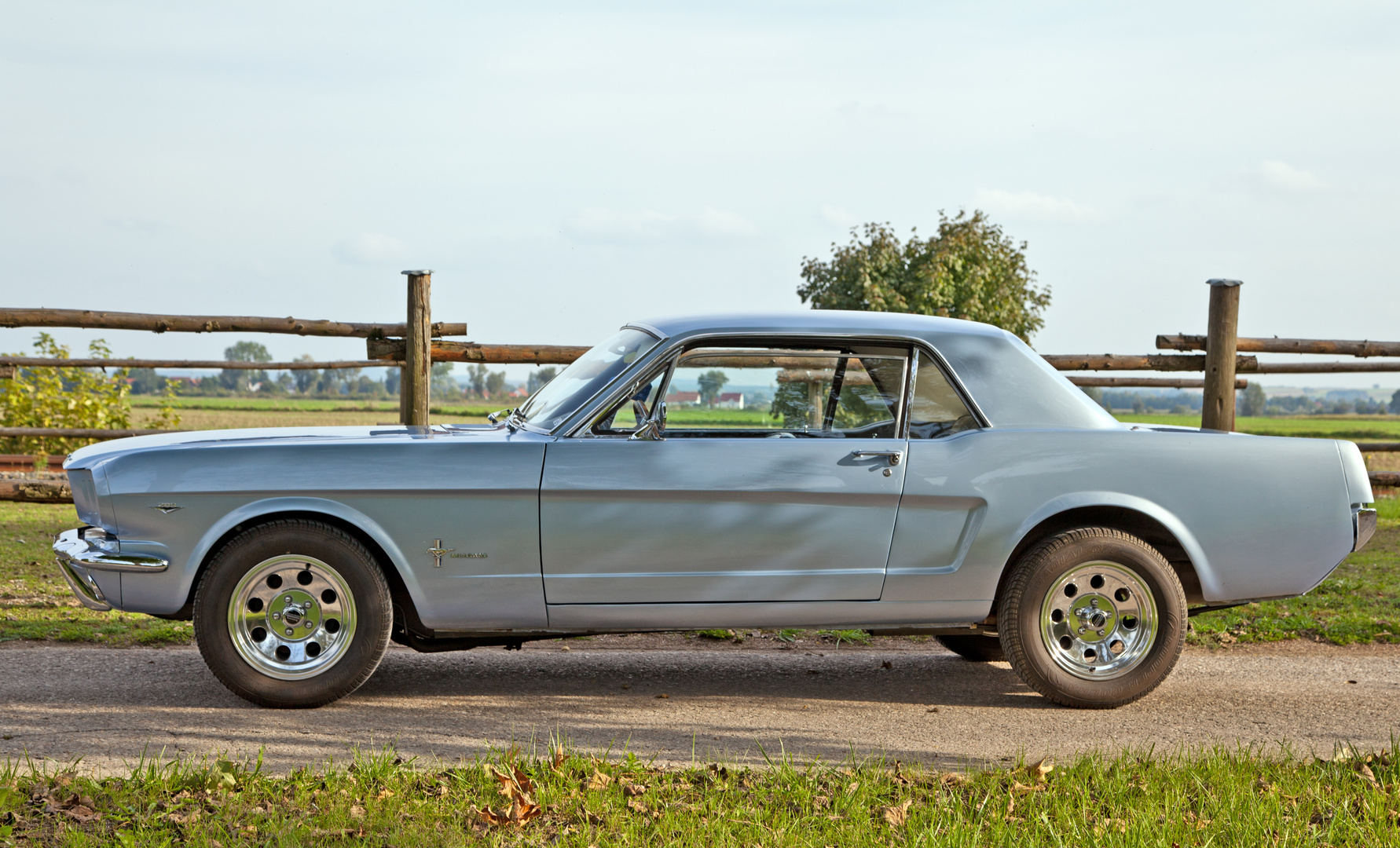 Das Leben ist kein Ponyhof - Ford Mustang