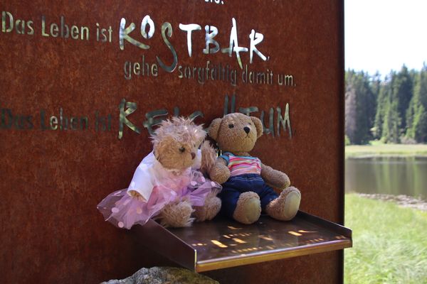 das Leben ist kostbar...